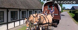 Slowferie på den fede måde